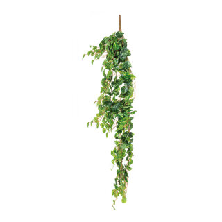 Pothosblatt-Hänger 13-fach     Groesse: 120cm    Farbe: hellgrün