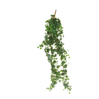 Ivy hanger 13-fold     Size: 120cm    Color: dark green