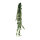 Ivy hanger 13-fold     Size: 200cm    Color: dark green