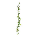 Efeugirlande      Groesse: 220cm    Farbe: dunkelgrün