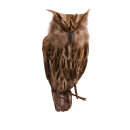 Owl sitting, in synthetic material with real feathers...