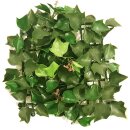 Künstliche Hecke"Ivy" in modularen Kunststoffplatten, 50 x 50 cm, PVC-Blätter sind UV-beständig