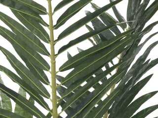 EUROPALMS Phoenix palm, artificial plant, 240cm