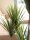 EUROPALMS Yucca palm, artificial plant, 130cm