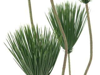 EUROPALMS Papyrus plant, artificial, 130cm