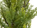 EUROPALMS Zypresse, Leyland, Kunstpflanze,  90cm