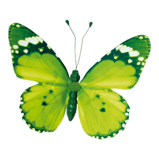 Butterfly with clip pvc 20x30cm Color: green