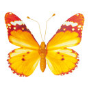 Schmetterling mit Clip Flügel aus Papier, Körper aus Styropor     Groesse: 20x30cm    Farbe: grün