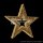 Goldstar 300