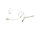 OMNITRONIC UHF-300 Headset Microphone skin colored