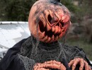EUROPALMS Halloween Groundbreaker Pumpkin Monster, 50cm
