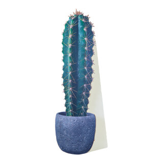 Cut-out »Cactus 2« with foldable backside stand, made of cardboard 17x55cm Color: multicoloured