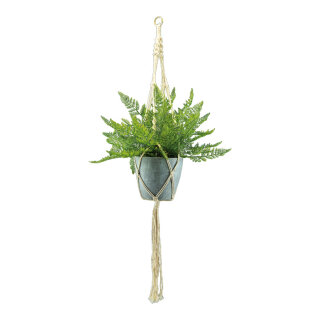 Fern in pot, with rope hanger H: 90cm Color: green
