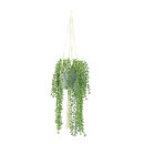 Pea plant in pot - Material: with rope hanger - Color:...