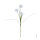 Dandelion with 3 flower heads, artificial     Size: H: 89cm, Ø: 15cm    Color: green/white