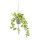 Efeu im Topf, mit Seil zum Hängen     Groesse: H: 90cm, Ø 17cm    Farbe: grün