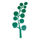 Leaf cut out with round buds - Material: plastic - Color:...