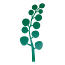 Leaf, cut out with round buds, plastic 35cm Color: green