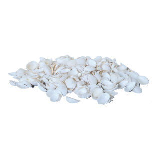Muscheln im Netz 300g     Groesse: 2-3cm    Farbe: weiß