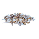 Shells in net 300g     Size: 2-6cm    Color: white/brown