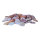 Muscheln im Netz 300g     Groesse: 4-6cm    Farbe: pink/weiß