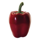 Paprika künstlich Größe:12x8x8cm Farbe: rot