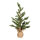 Weihnachtsbaum      Groesse:im Jutesack, 100% PE-Tips, 50cm    Farbe:grün