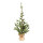 Weihnachtsbaum      Groesse:im Jutesack, 100% PE-Tips, 90cm    Farbe:grün
