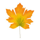 Maple leaf artificial - Material: in polybag - Color:...