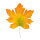 Maple leaf artificial - Material: in polybag - Color: autumnal - Size: 100x80cm