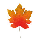Maple leaf artificial - Material: in polybag - Color:...