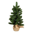Edeltanne      Groesse: im Jutesack, 76 Tips, 60cm...