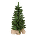 Edeltanne      Groesse: im Jutesack, 121 Tips, 75cm...