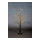 LED-Baum mit 500 LEDs, 2-teilig, mit IP44 Trafo, 24V, mit Standfuß     Groesse: 120cm, Ø60cm    Farbe: schwarz