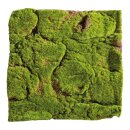 Moosmatte aus Kunststoff und Filz     Groesse: 50x50cm...