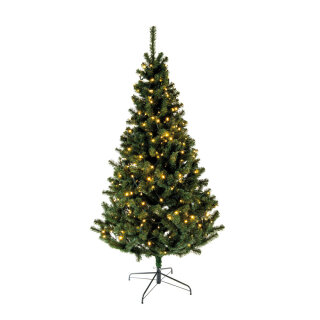 Edeltanne mit 700 LEDs, für den Außenbereich, mit Metallständer, 1.520 Tips, 300cm, Ø165cm    Farbe: grün/warm weiß