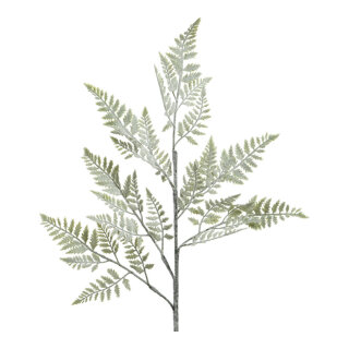 Fern twig snowed  - Material:  - Color: green/white - Size: 76cm