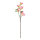 Zierkirschenzweig mit Blüten und Blättern     Groesse: 70cm    Farbe: pink/braun