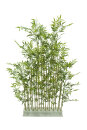 Bambus-Hecke, 200x100x40cm für Indoor und Outdoor