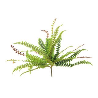 Fernleaf bush 30-fold, out of plastic     Size: 70cm    Color: green