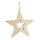 Stern aus Styropor, mit Hänger, mit Glitter     Groesse:20x20x2cm    Farbe:gold