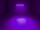 EUROLITE LED BAR-12 UV Bar