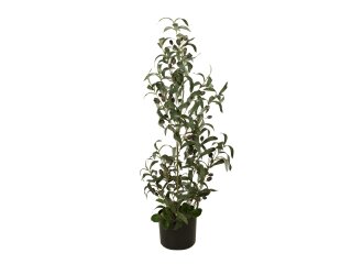 EUROPALMS Olive tree, artificial plant, 90 cm