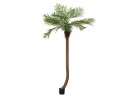 EUROPALMS Phoenix palm tree luxor curved, artificial...