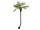 EUROPALMS Phoenix palm tree luxor curved, artificial plant, 240cm