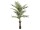 EUROPALMS Kentia palm tree, artificial plant, 240cm