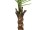 EUROPALMS Kentia Palme, Kunstpflanze, 240cm