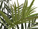 EUROPALMS Kentia palm tree, artificial plant, 300cm