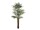 EUROPALMS Kentia palm tree, artificial plant, 300cm