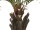 EUROPALMS Kentia  palm tree deluxe, artificial plant, 300cm